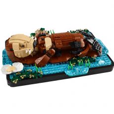 Schwimmende Seeotter