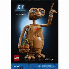 LEGO Ideas 21370 box